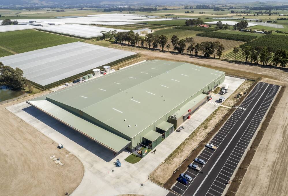 FRUITFUL FOOTPRINT: Entegra Signature Structures built its biggest clear span shed for Red Rich Fruits in the Yarra Valley, standing at 9m high, 80m wide and 128m long.