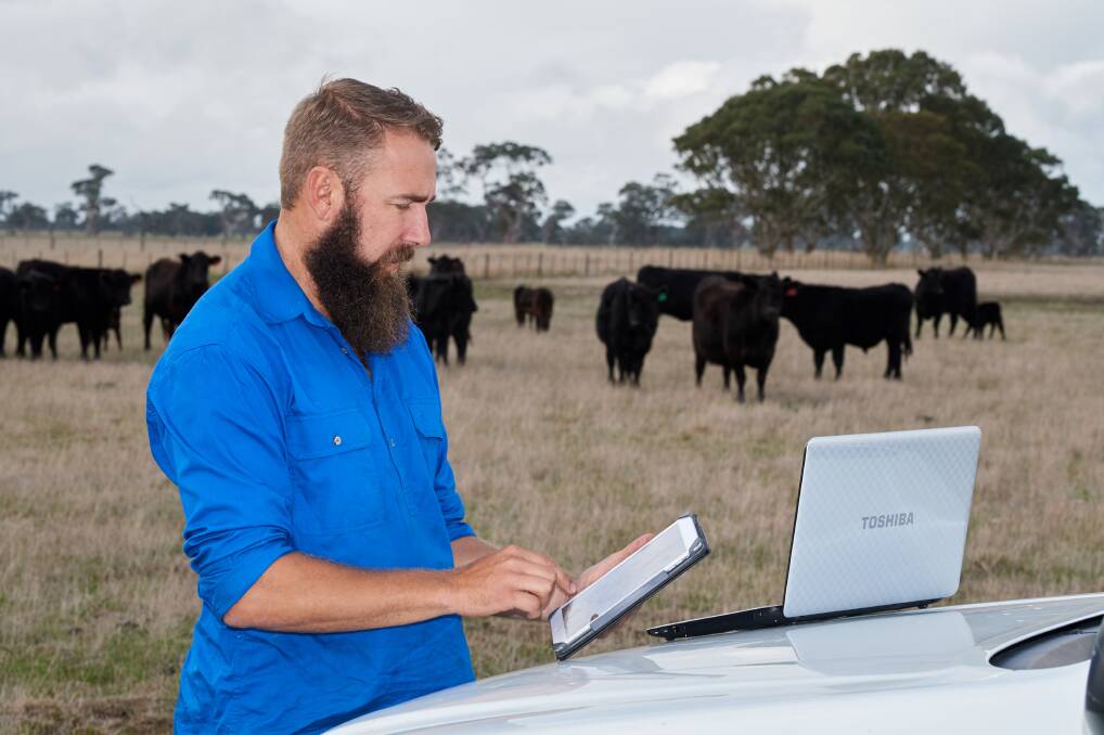 eNVDs are the faster, easier way to complete consignment paperwork required for transporting livestock.