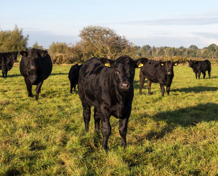 Is early weaning the key to long-term profitability?