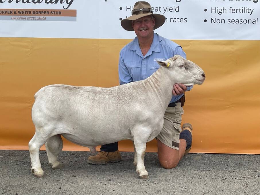 Burrawang's big sale - Records broken in the largest and highest value sale held yet for the Dorper sheep breed