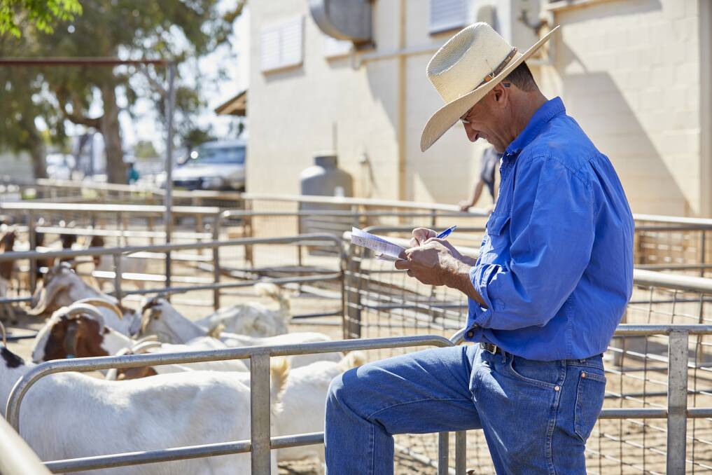 Producers must keep good on-farm records to remain LPA accredited and access LPA NVDs.