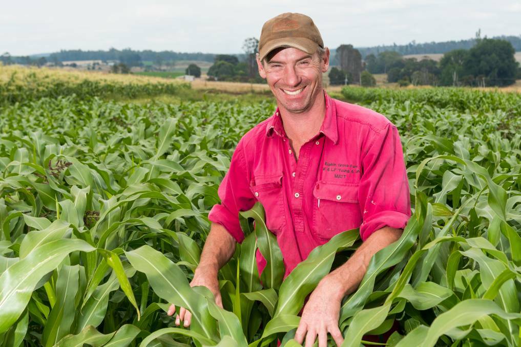 North West farmer Matt Young participated in Seedlab Tasmania programs to expand his farm's value-add popcorn business.