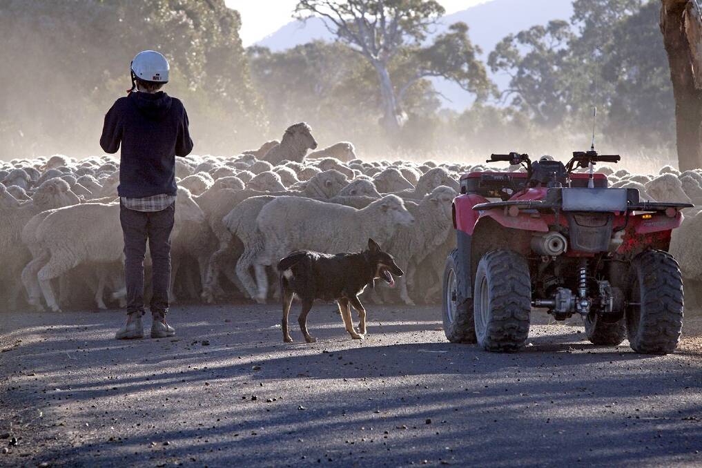 NOT GOING ANYWHERE: Farm leaders say new mandatory safety standards won't push quad bikes out of the Australian market. 
