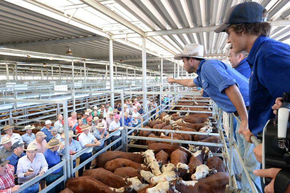 DROUGHT BUFFER: Red hot export demand and prices for Australian beef, lamb and mutton is now the backbone of national farm earnings despite the drought. 