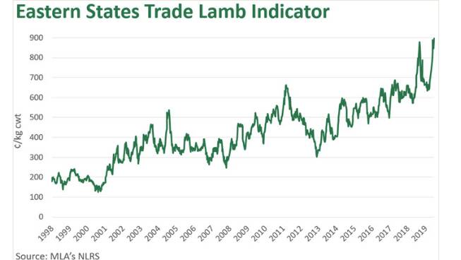Lamb market soars as key price indicator nears 900c barrier