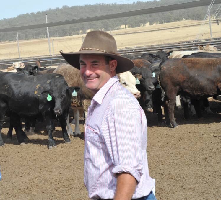 Stephen  Chase, Waitara Angus Trangie, says the Angus Sire Benchmarking Program has been a boon to both stud and commercial breeders.
