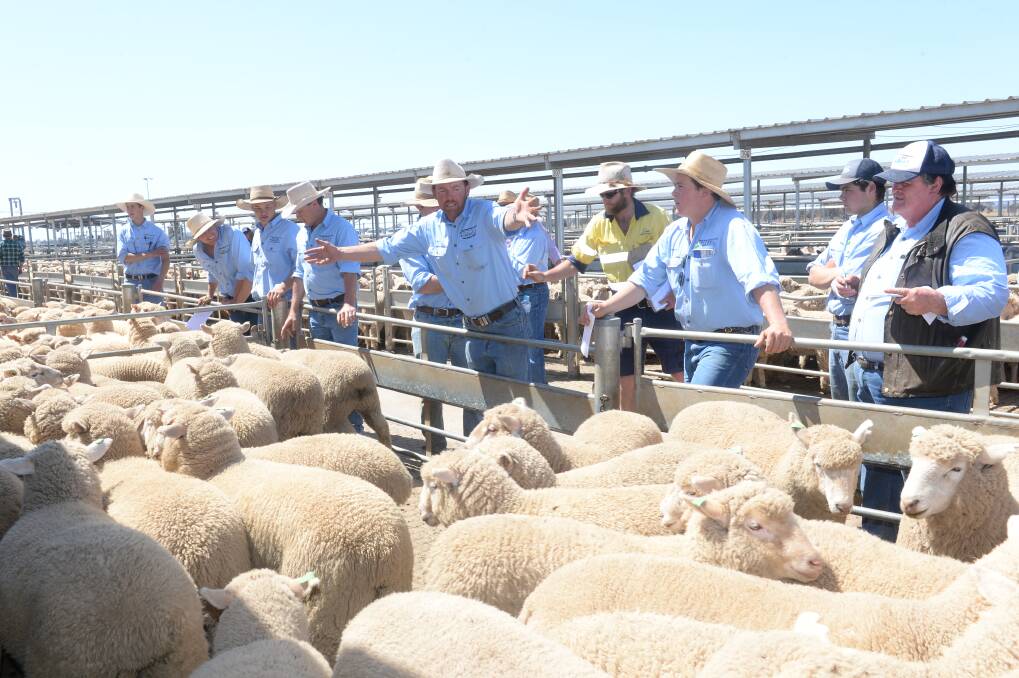 STRONG START: Lamb and sheep markets have roared into life in 2020 with major selling centres in Victoria and NSW reporting strong demand at sales early this week. 