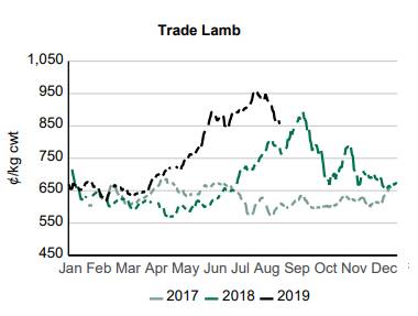 Lamb prices come off the boil but mutton still hot