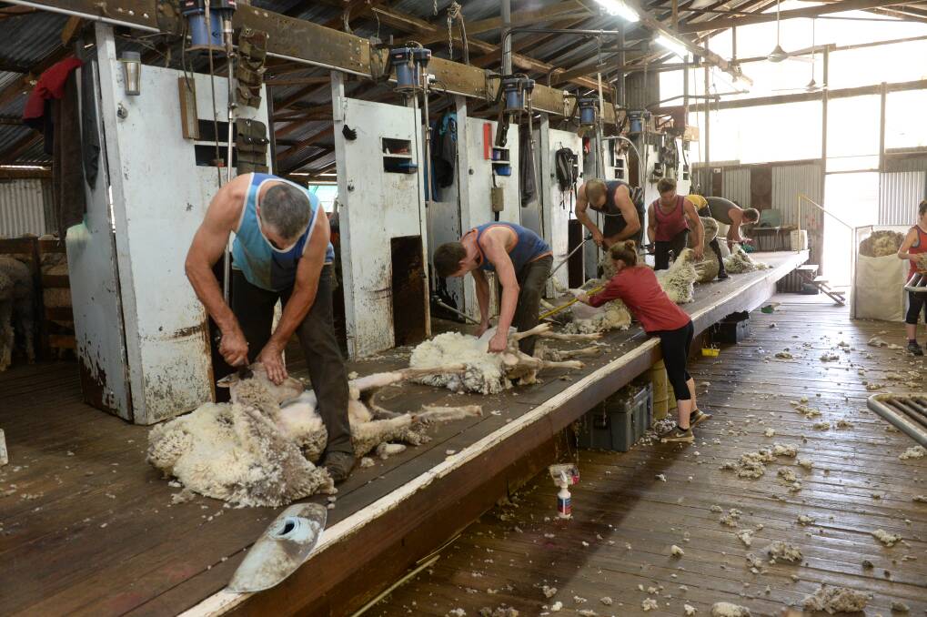 CHALK and CHEESE: WoolProducers Australia says vast differences exist in husbandry practices between Australia and the European Union which can't be aligned in any free trade agreement between the two trading partners. 