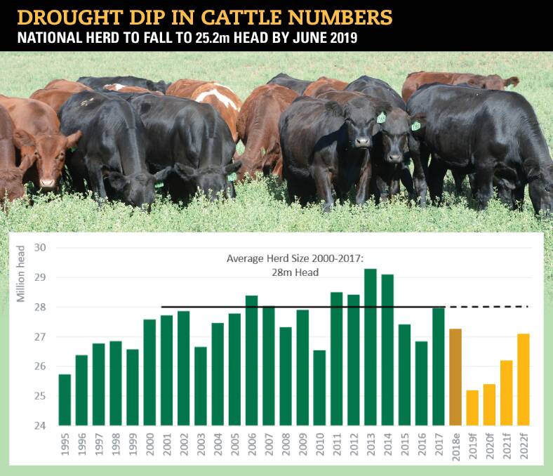 REBUILDING TIME: A return to good seasons would spark a scramble to quickly rebuild the Australian beef herd to around 29 million head. 