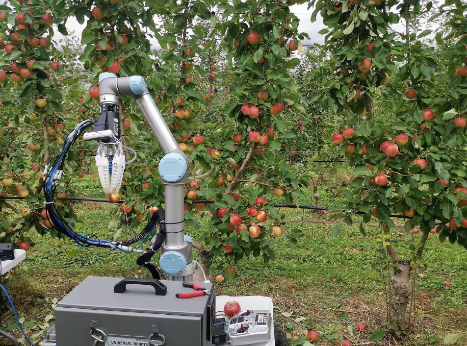 ROBOTIC PICKER: A team of researchers from Melbourne's Monash University have developed an autonomous robotic apple picker which can harvest a piece of fruit in seven seconds at full capacity. 
