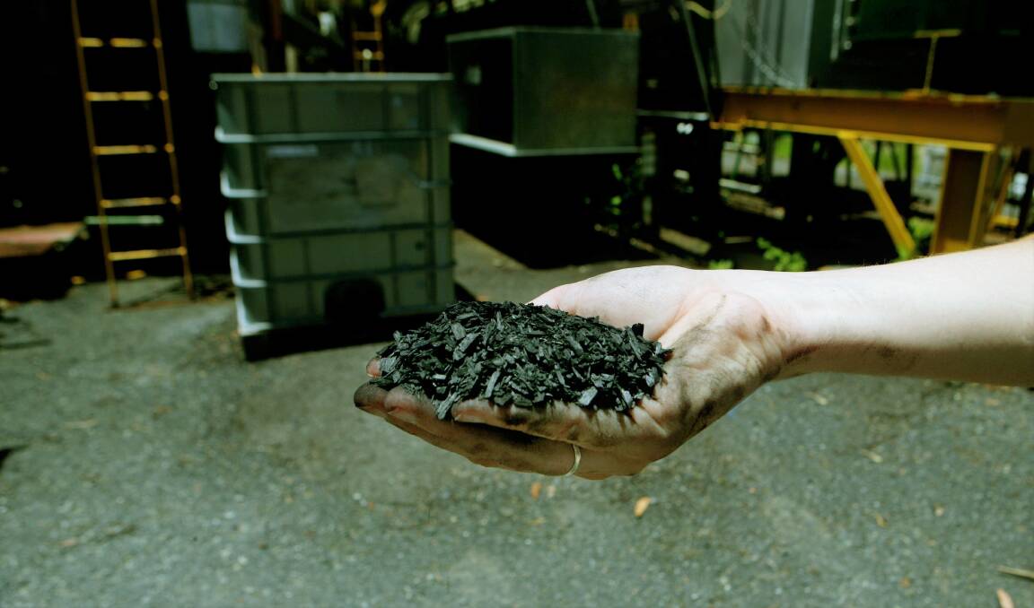 BIOCHAR SOLUTION: Research is looking at producing biochar that can be added to livestock feed rations to improve ruminant efficiency and cut greenhouse gas emissions. 