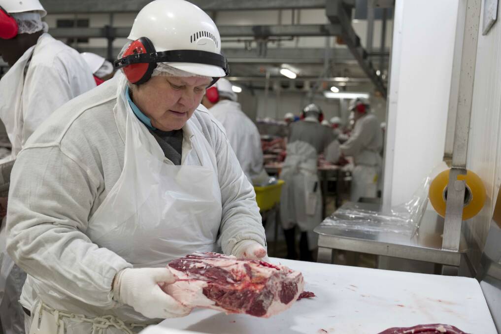 JOBS IN MEAT: The red meat industry is a major employer of people but can't get enough skilled local workers in abattoirs. 