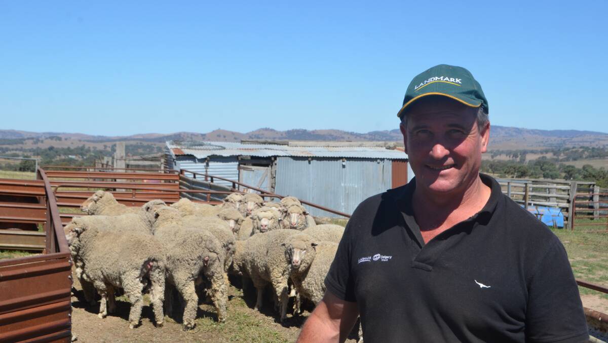 Simon Flick, wool specialist, Landmark Boorowa, said before the industries knows if there is any real great interest in wether lambs from woolgrowers it will have to rain.

