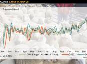 SOFTER YARDINGS: Lamb yardings were down by 17 per cent and sheep volumes were off by 43pc.