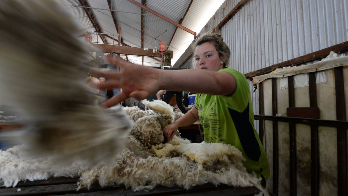 Wool market defies odds