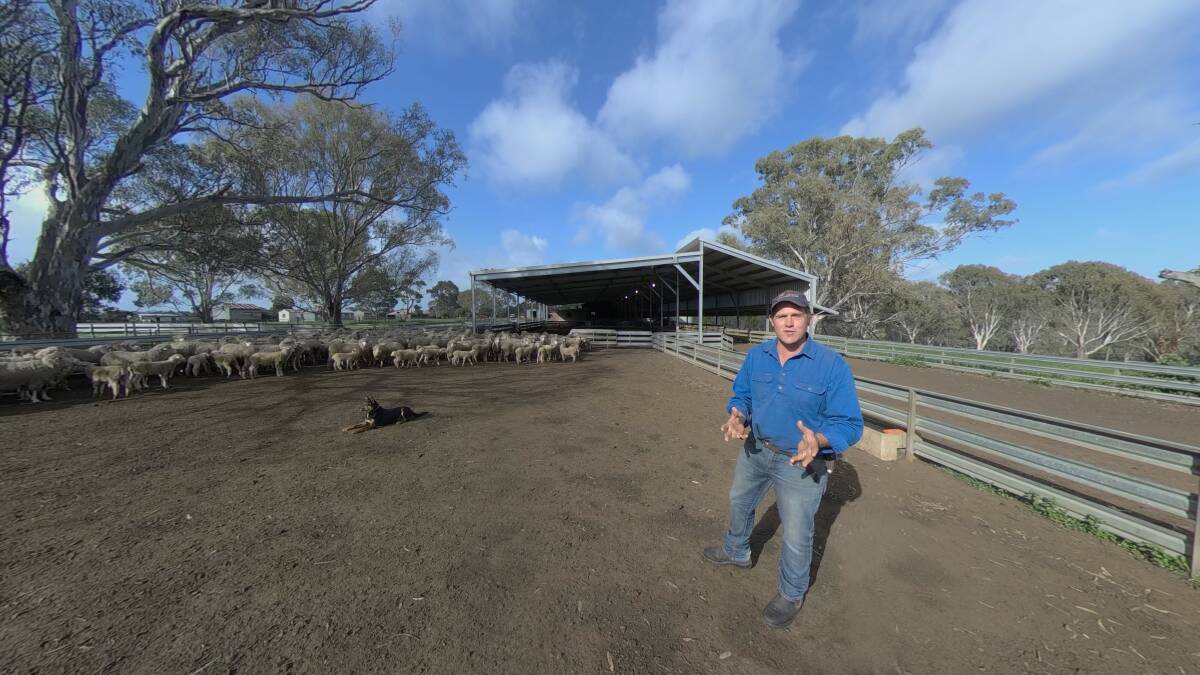 Lamb producer Michael Craig, from Harrow, Victoria, features in the new Australian Lamb Paddock to Plate Story.
