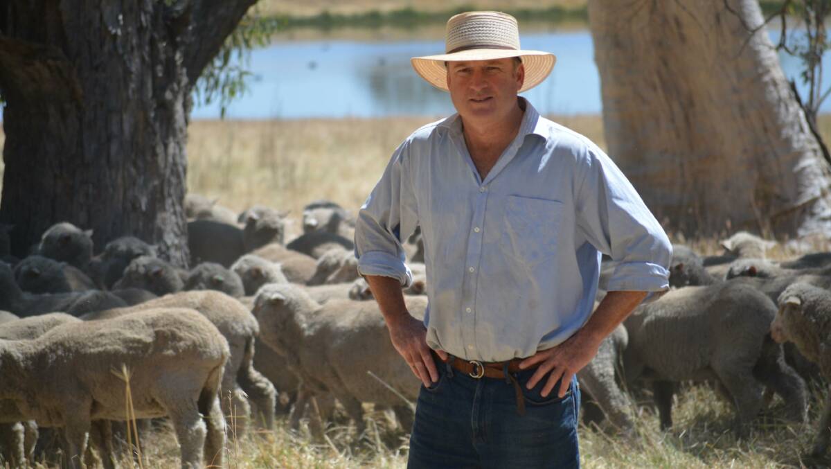 New instated WoolProducers president Ed Storey on his woolgrowing enterprise outside of Yass, NSW. 