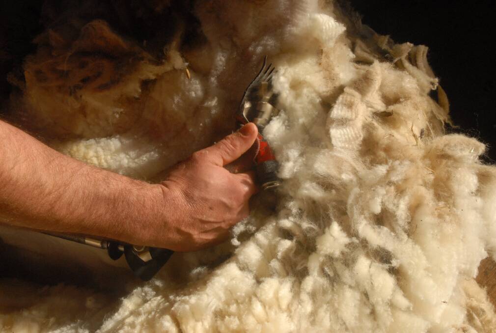 Crossbred wools continue weaken as retail demand for the type of wool lessons. 
