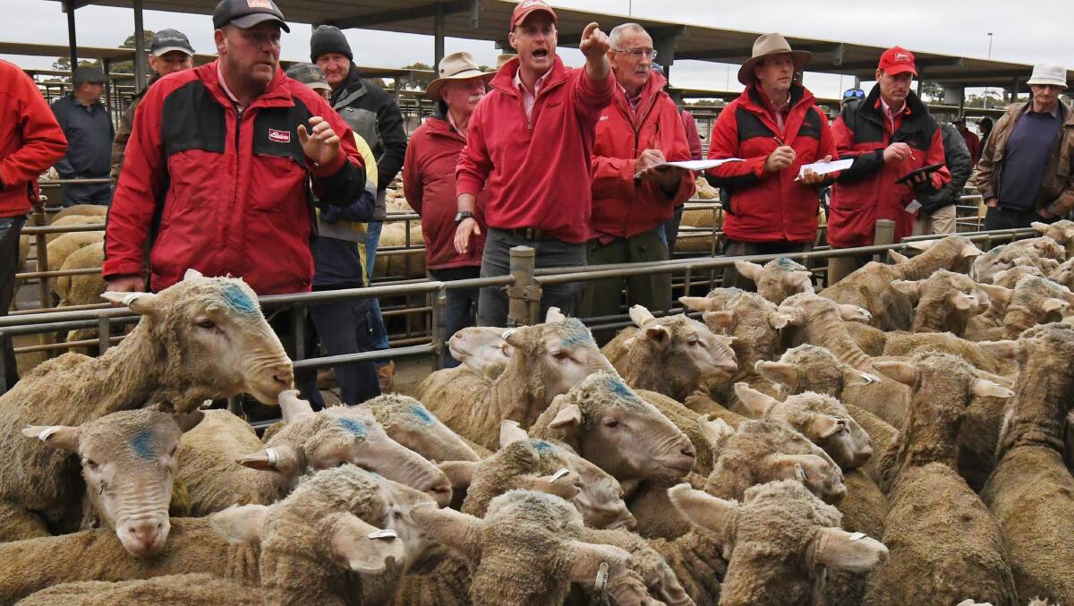 The retention of productive breeding stock has contributed to fewer sheep moving through the yards.