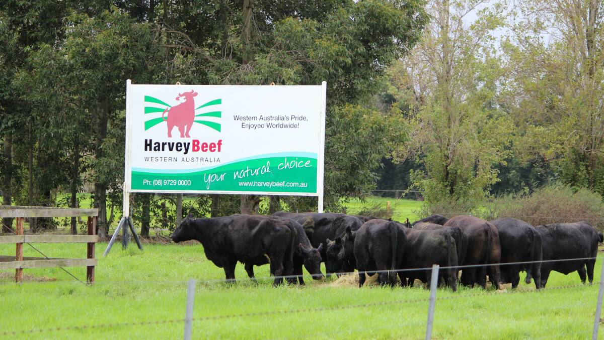 Harvey Beef to develop new beef lines
