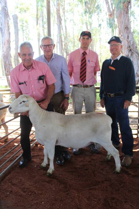 Holding the $8800 top-priced shedding breed ram sold by Broun Garnett Lambmasters at the inaugural Elders South West Invitational ram sale was Elders stud stock representative Preston Clarke (left) who purchased the ram on behalf of Gary and Judy Doyle, Montara station, Wentworth, New South Wales. With him were Lambmaster stud principal Neil Garnett, Elders South West livestock manager Michael Carroll and Lambmaster co-breeder Brent Watson, Margaret River.