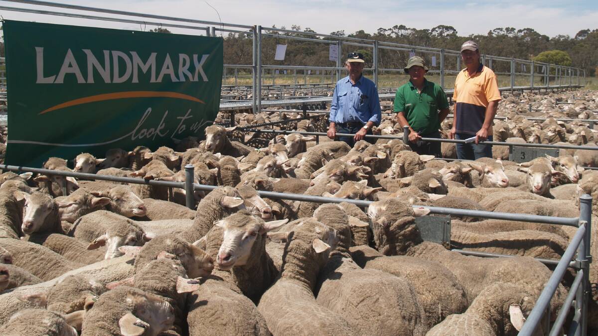 This line of 395 September shorn, East Mundalla blood, 1.5yo ewes topped last week's Landmark Narrogin ewe and wether sale at $215. With the line were vendor, Mick Sim (left), Landmark Narrogin agent Ashley Lock and buyer Wes Hall, EDL Farms, Newdegate.