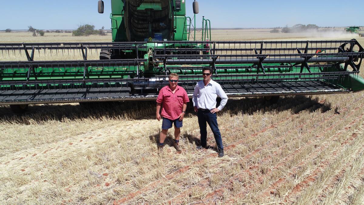 Pindar farmer Mark Flannagan (left), with Intergrain's Kynan Jackson discussing the merits of new wheat variety, Chief.