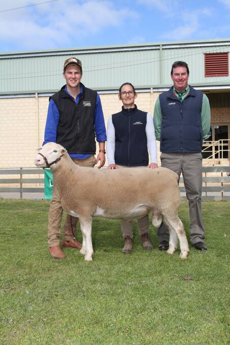 With the $12,000 second top-priced British Breed ram sold by the Yonga Downs White Suffolk stud, Gnowangerup, at the WA Elite White Suffolk and Suffolk sale at Wagin to the Jusak White Suffolk and Suffolk studs, Newdegate, were Yonga Downs stud principal Brenton Addis (left), Rochelle Walker, Jusak stud and Landmark auctioneer Mark Warren.