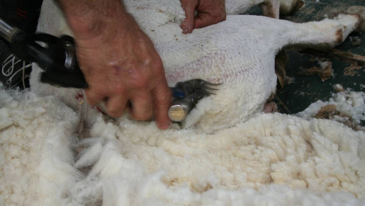 Shearing issues highlighted by WASIA