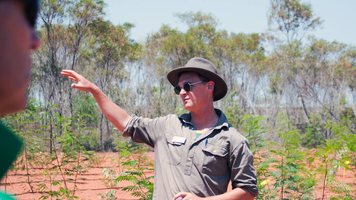 DPIRD officer Sam Crouch describing the sterile leucaena feasibility project at the nursery in north Broome.