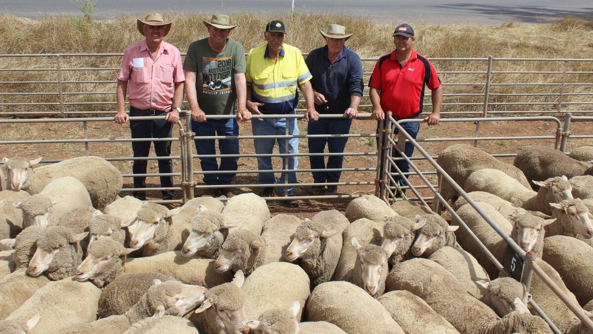 With some of the $191 top price 1.5yo ewes sold at Moora last week were Elders Wongan Hills agent Jeff Brennan (left), dispersal vendors Michael and Basil Clarke, Kirwan, dispersal vendor Kim Simpson, Kirwan and Elders Mingenew agent Ross Tyndale-Powell who bought the line of $191 ewes for a Morawa-based client.