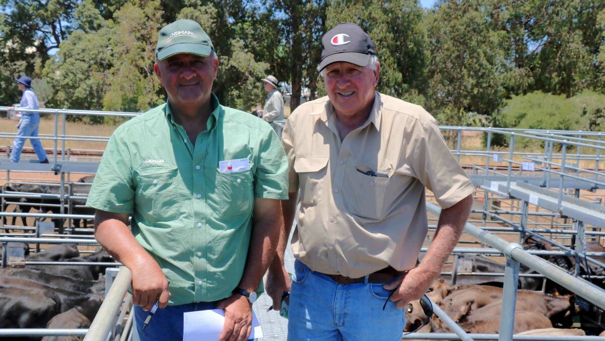 Ralph Mosca (left), Landmark Harvey, checked the yarding with Darryl Robinson, Murray River Farms.
