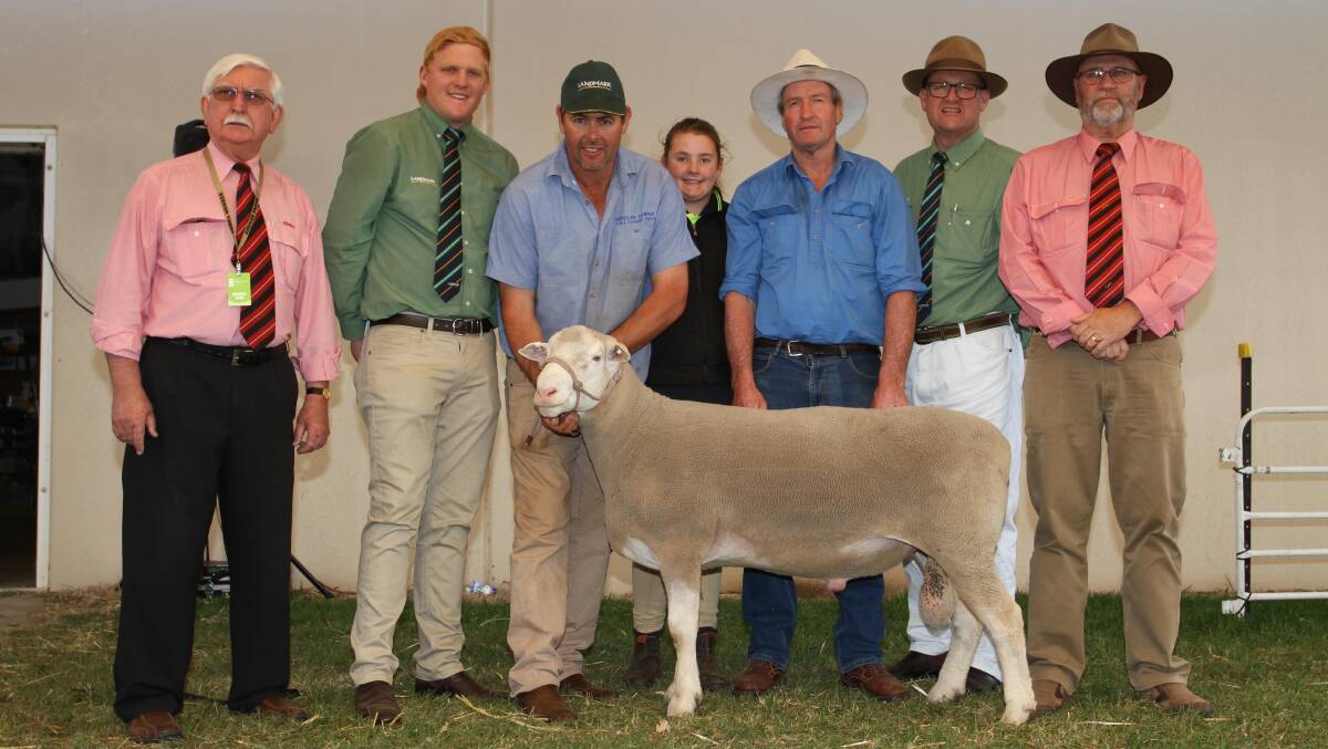 This Poll Dorset sire from the Dongadilling stud, Quairading, sold for the $11,000 third top price overall and the top Poll Dorset price this season when it was purchased by the Konongwootong Poll Dorset stud, Konongwootong, Victoria, at the IGA Perth Royal Show All Breeds ram and ewe sale. With the ram were Elders WA livestock sales manager Tom Marron (left), Landmark trainee Jake Finlayson, Dongadilling co-principal Sascha Squiers and daughter Zarah, Quairading, buyer Alistair Sutherland, Landmark auctioneer Tiny Holly and Elders auctioneer Don Morgan.