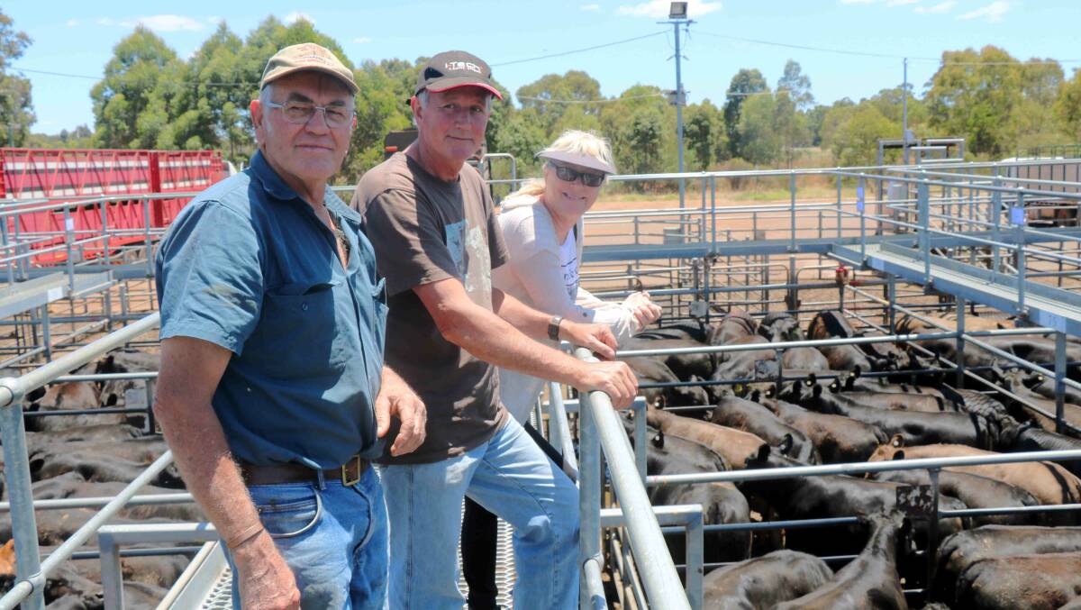 Ed Russell (left), Bridgetown, was looking over his pen of calves with Grant and Jancis Elphick, Brunswick.