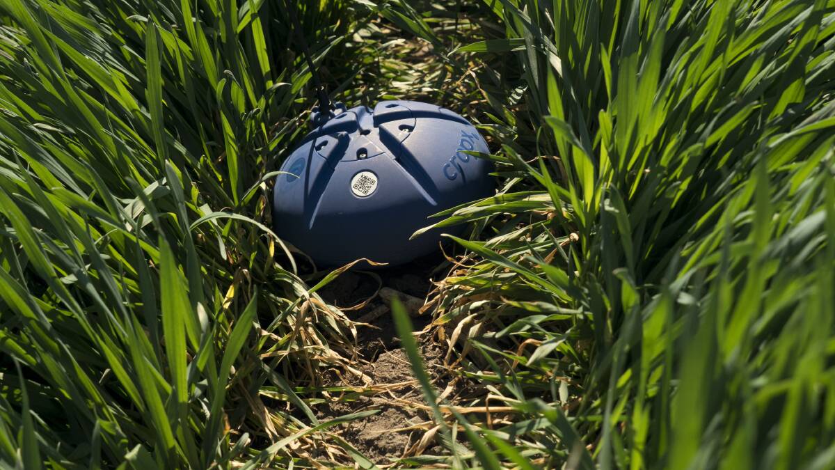 A new soil sensor from CropX could be a game-changer for Australian farmers.