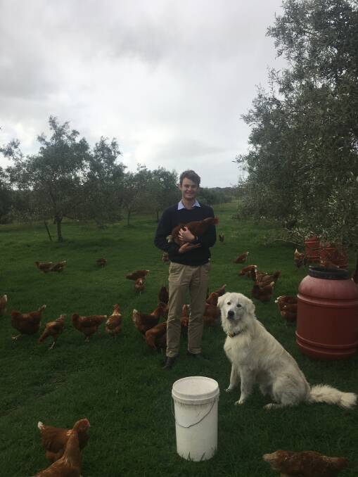 Being from Perth hasn't stopped Jimmy Bidstrup from following his dream to work in agriculture. By spending time on friends' farms and completing year 12 at the WA College of Agriculture, Denmark, the 21-year-old has given himself broad exposure to the industry through years of hard work.