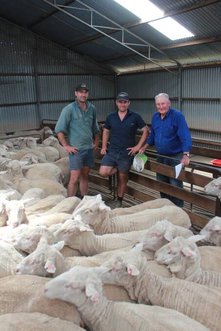 Looking over a pen of Anglesey stud ewe hoggets were Greg (left) and Allan Hobley, Wiringa Park stud, Nyabing and Anglesey stud principal Geoffrey Shepherdson. Wiringa Park stud recently purchased the Angelsey stud in its entirety.
