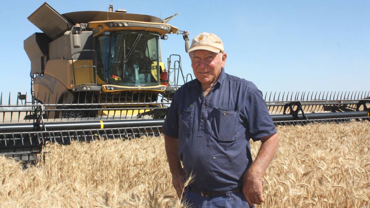 TOODYAY farmer Joe Candeloro checks out a crop of Scepter wheat yielding between 3.8 tonnes a hectare and 5t/ha. 
“Protein’s lacking but the screenings are low and overall it’s making ASW to APW so we’re happy with the result,” Joe said. 
“We had a fairly wet stretch from July to August and then a mild finish, which also helped the canola.”
Joe’s son Jerome, who was driving the header, said the good cereal yields were a surprise, particularly barley which averaged 4.5t/ha.
“We did get some frost in the low-lying areas which probably knocked eight to 10 per cent off the result but the winter rain and soft finish got us over the line,” he said.
