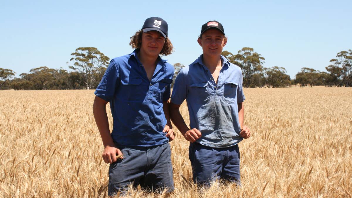 Eighteen-year-old Laurie Bothe (left) with older brother Jackson, 19, in this year's wheat crop.