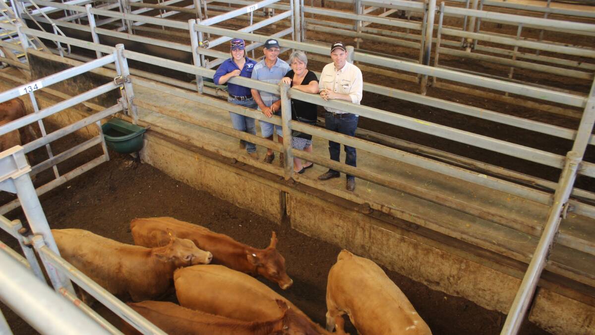 With the champion pen of heifers in the S & C Livestock yarding at Muchea last Friday were buyer Skye Ogerley (left), bidding on behalf of Livestock Shipping Services, vendors Robert and Sarah Mitchell, Oldbury and S & C Livestock auctioneer Cameron Petricevich.