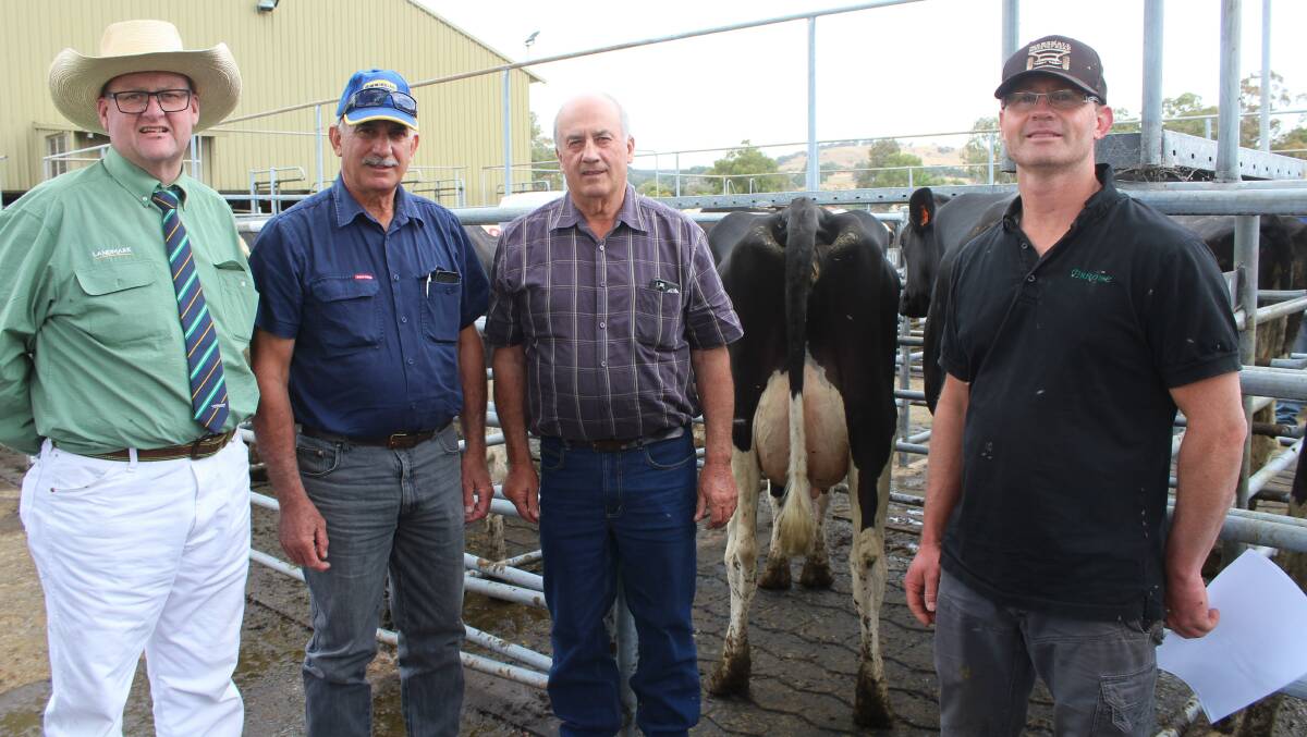 Landmark auctioneer Tiny Holly (left), brothers Peter and Joe Italiano and volume heifer purchaser Cameron Lumsden, Jesmond Dairy, Rosa Glen. Mr Lumsden secured 15 out of the 19 heifers on offer to a $1937 average and a top of $2150 twice.