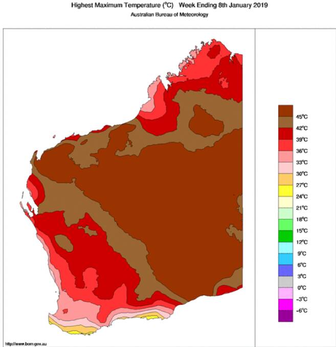 The highest maximum temperatures for the week ending January 8, 2019. Map from Australian Bureau of Meteorology.
