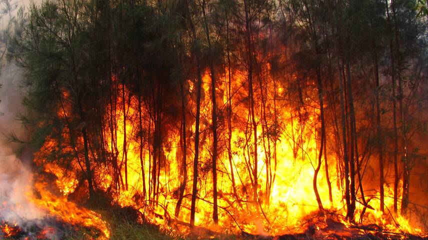 Time to prepare for bushfire season