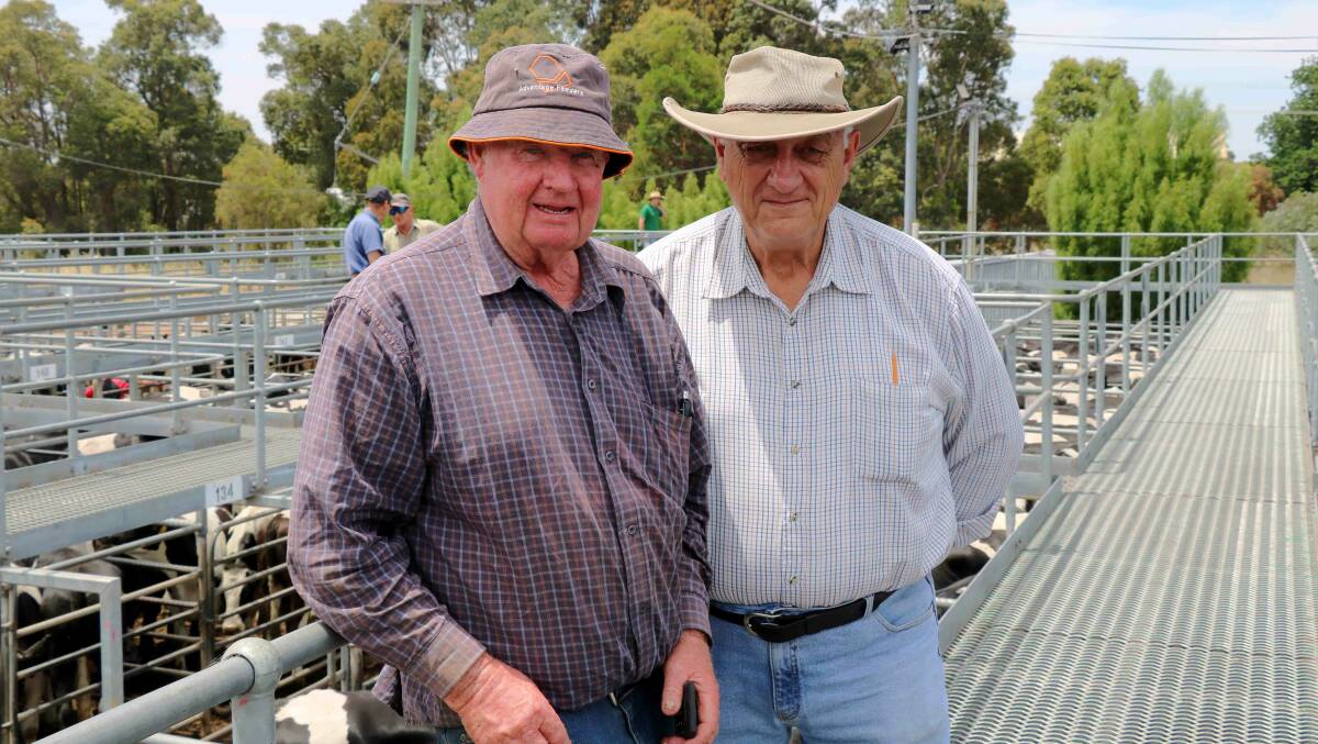 Robin King (left), Chapman Hill and retired stockie Phil Musitano, Brunswick on the rail.