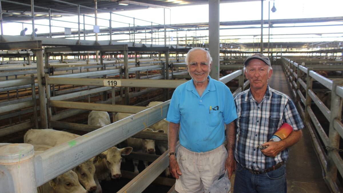 Looking over a pen of Charolais stud heifers were Bernard Herrera (left), Bullsbrook and Norm Brown, Bullsbrook. Mr Herrera later bought the four stud heifers for the top price of $1251.
