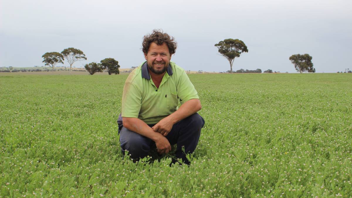 Corrigin cropper and sheep producer Steven Bolt standing in this year's Barley Latrobe crop, which he said makes up about 90 per cent of his program because it "compliments our sheep business".