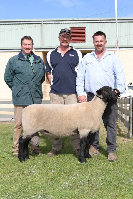 Suffolk ram prices peaked this year at the WA Elite White Suffolk and Suffolk sale at Wagin when this ram from Kalinda stud, Boyanup, sold for $5200 to Cheeryna Suffolk stud Williams. With the ram were Landmark stud and commercial sheep manager Tom Bowen (left), buyer Justin Duff, Cheeryna Suffolk stud, Williams and vendor Matt Mitsopoulos, Kalinda Suffolk stud, Boyanup.