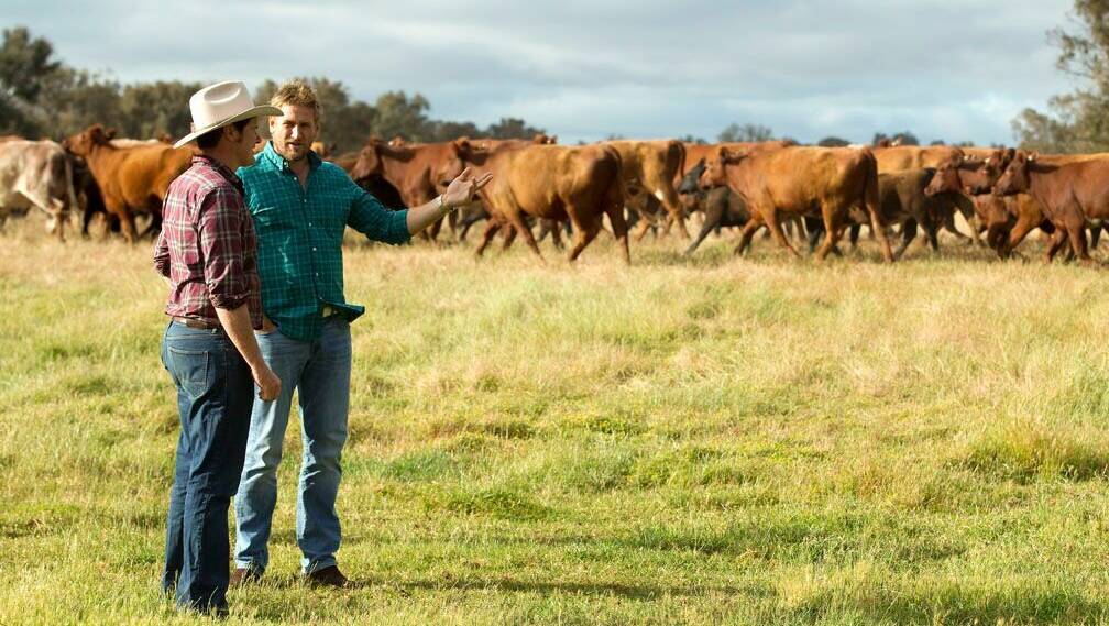 WA beef producer Stuart McCormack (left), on-farm with internationally renowned Australian chef Curtis Stone.