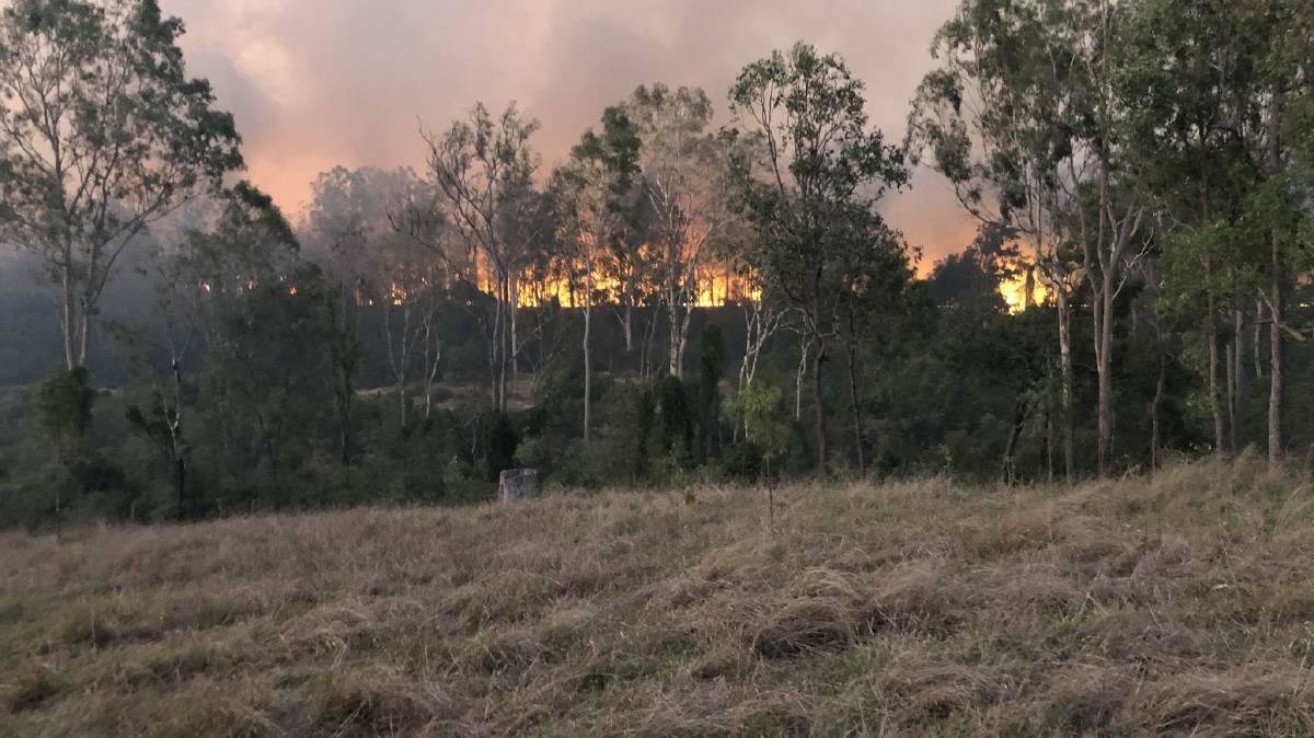 The Palaszczuk government rejected calls for a parliamentary inquiry into Queensland's devastating bushfires.